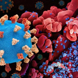 a close up of a blue and red corona corona